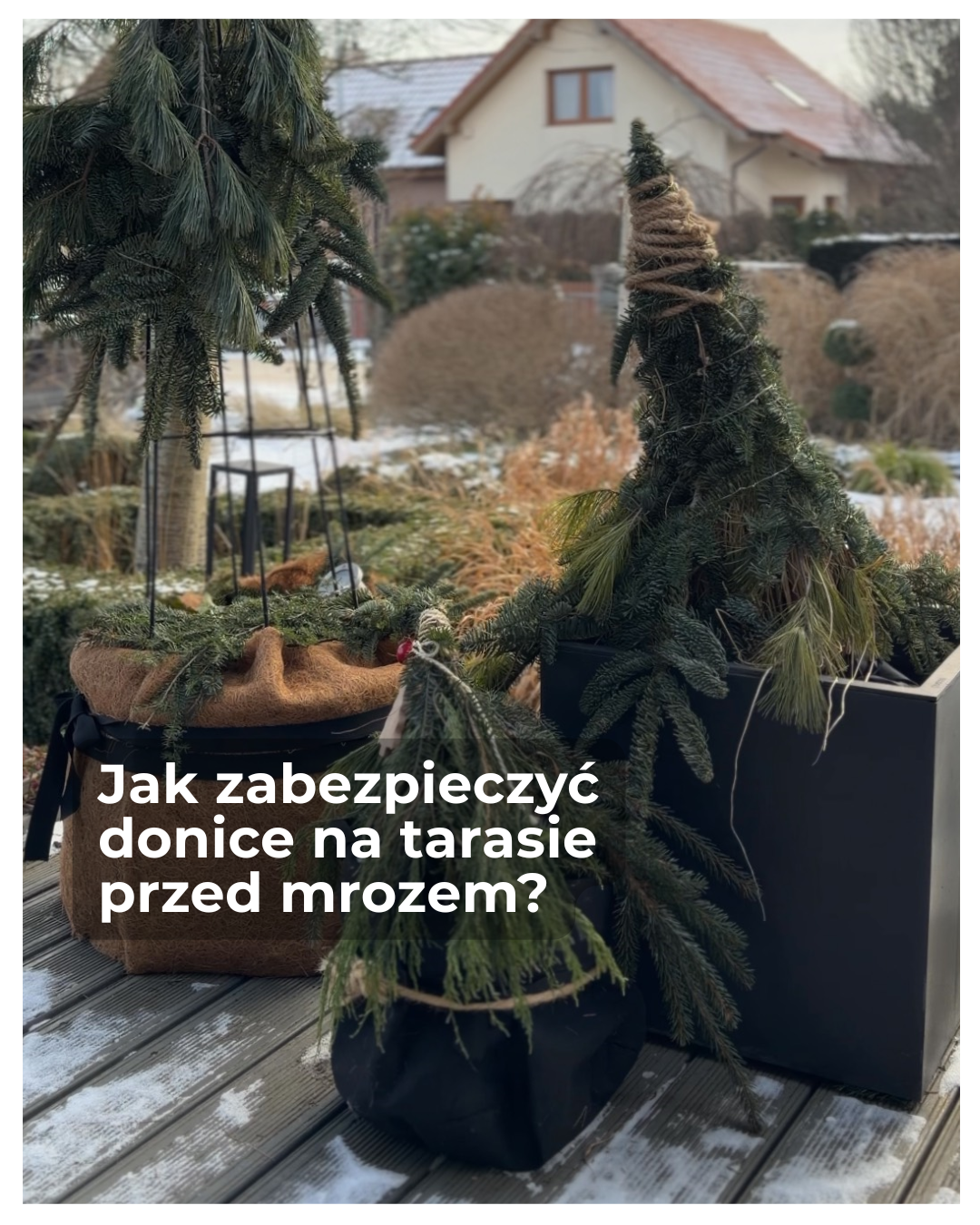 Jak zabezpieczyć donice na tarasie przed mrozem?