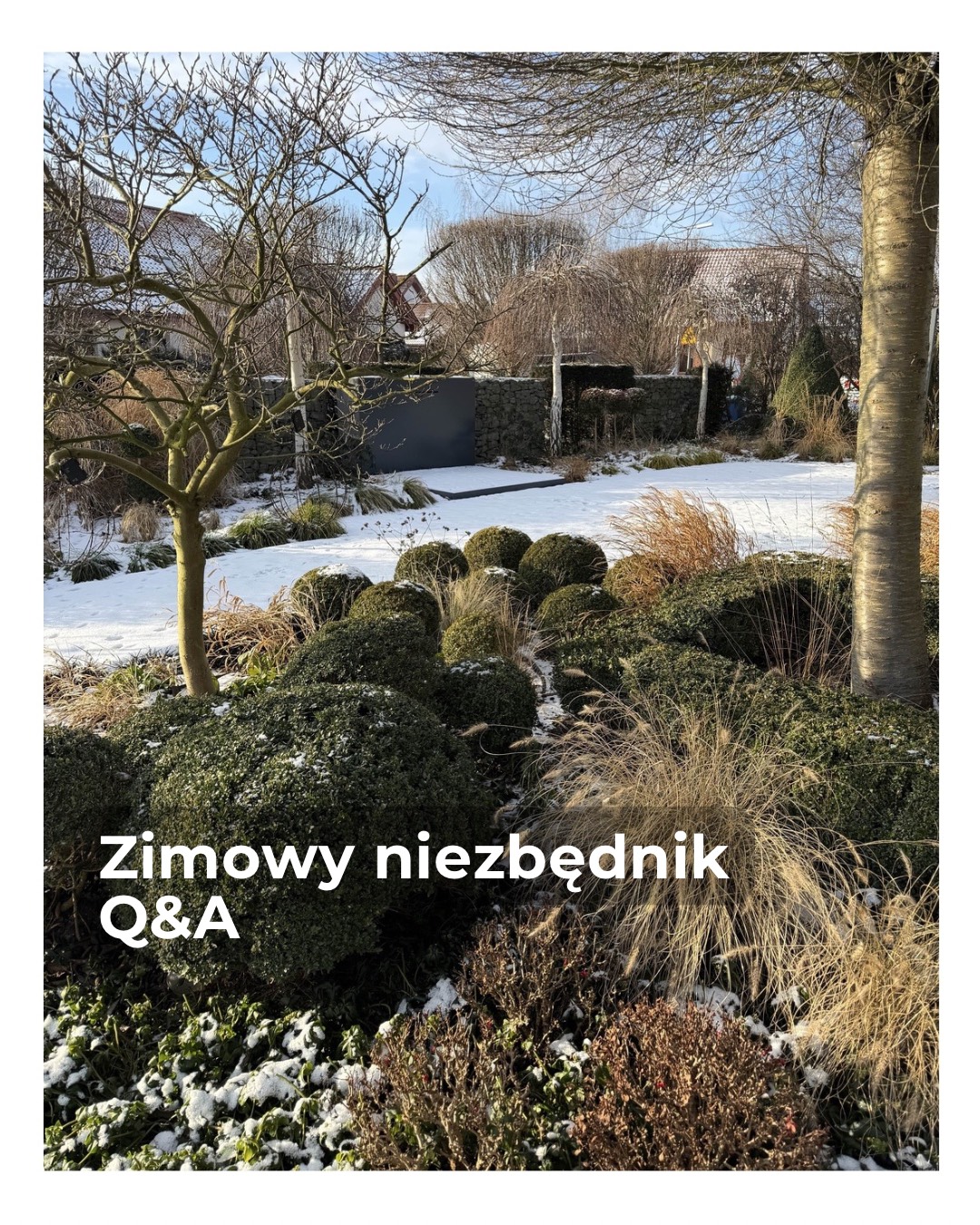 Q&A ZIMOWY NIEZBĘDNIK