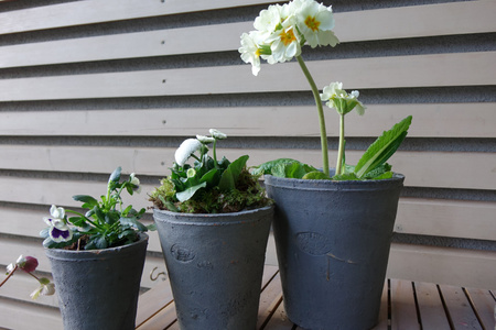 Szare doniczki z terakoty 3 sztuki