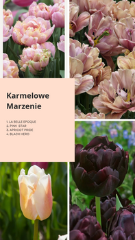 Karmelowe marzenie 2