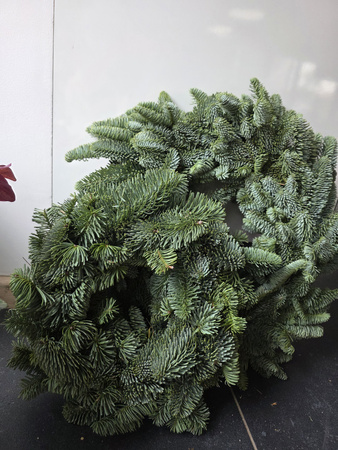 Wianek z jodły nobilis – 45 cm