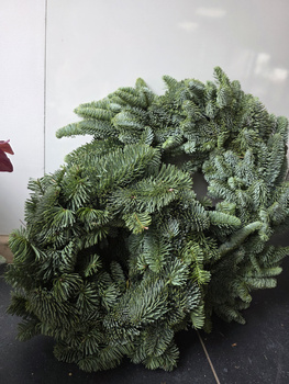 Wianek z jodły nobilis – 45 cm